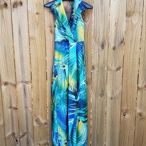 Stunning Long Caché NWT Dress